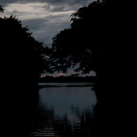 AMAZONAS 2 rio mosaico galeria_MG_0411.jpg